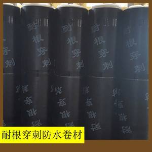 APP/SBS耐根穿刺防水卷材