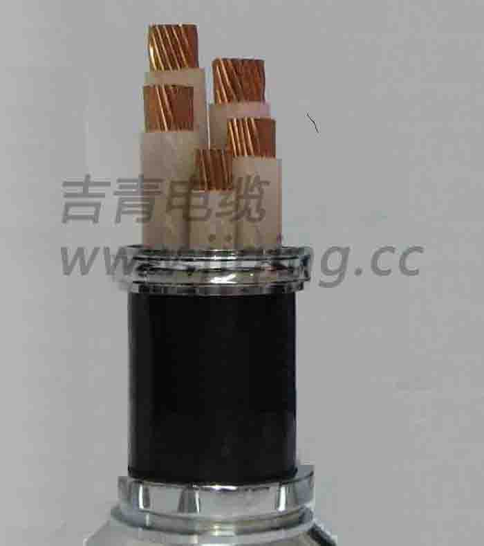 XLPE绝缘聚烯烃护套阻燃A类电力电缆